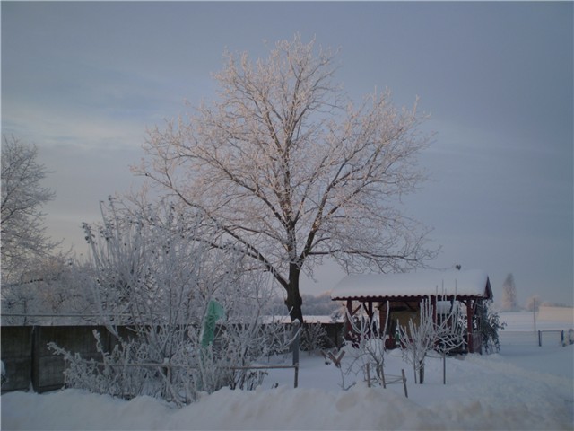 ledeno jutro
